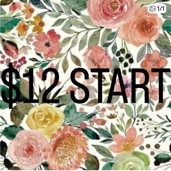 $12 Start Live Auction Items